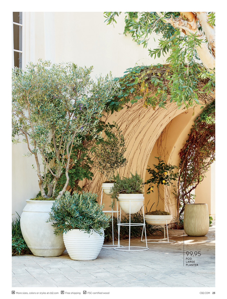 Cb2 acapulco chair 2025